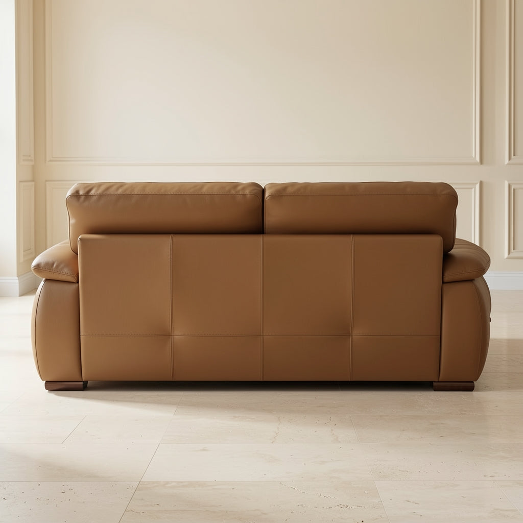 Brown Tufted Sofa (DYSJ06) in back