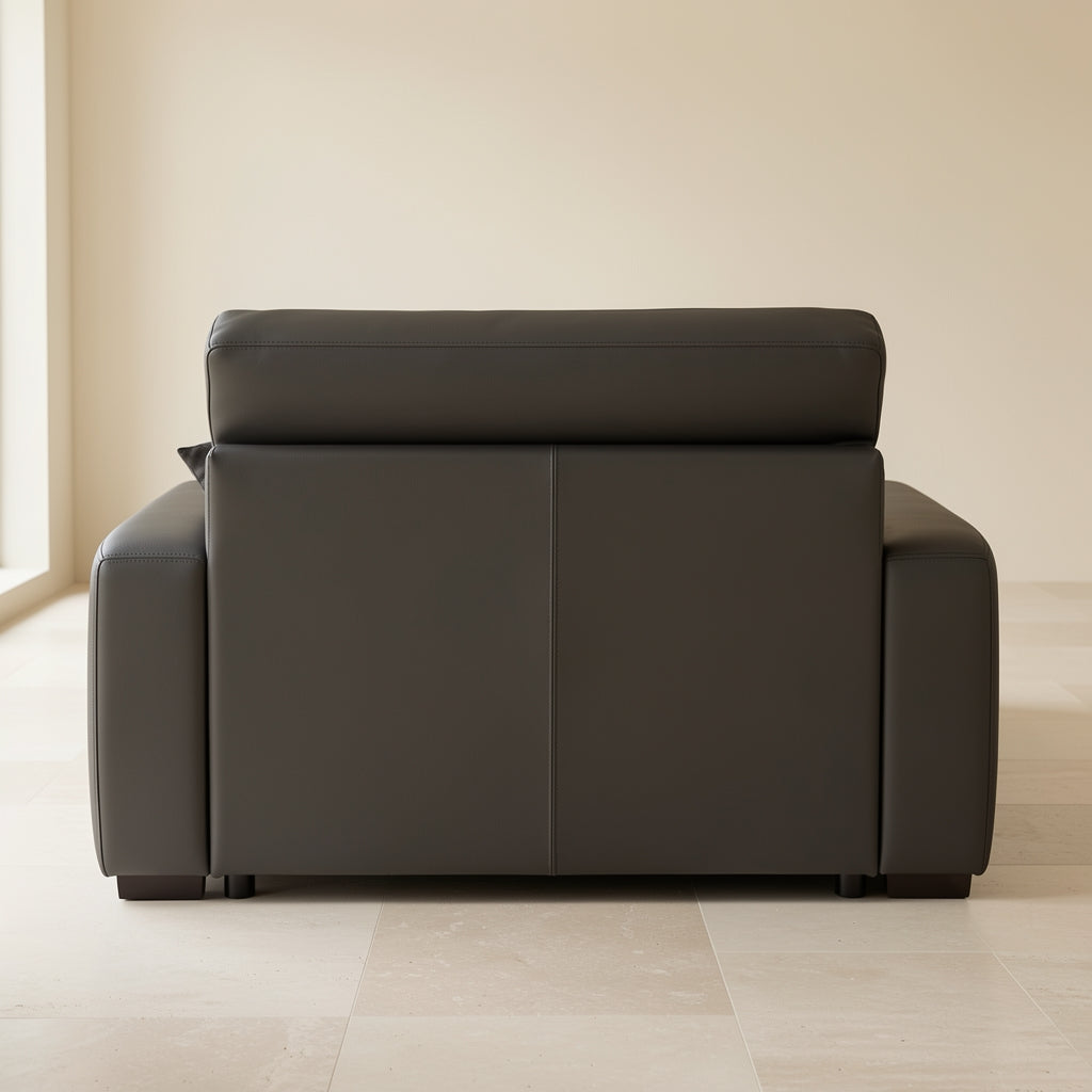 Dark Modern Sofa (DYSJ011) in back