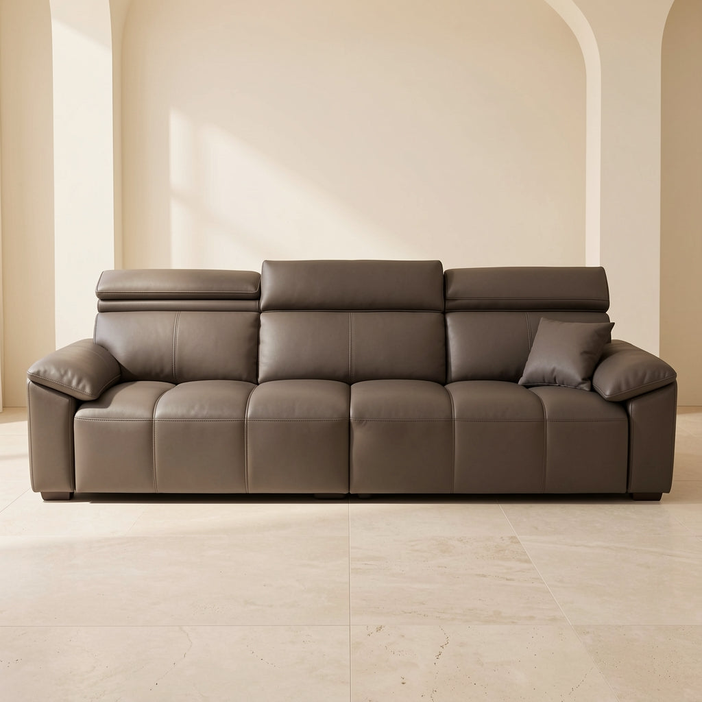 Dark Modern Sofa (DYSJ011) in front