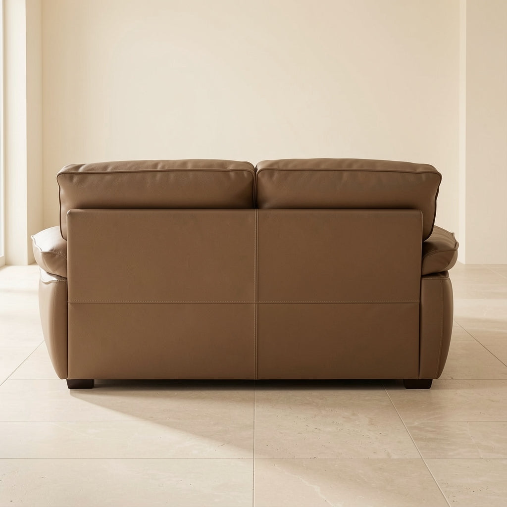 Brown Modern Sofa (DYJLSJ1048) in back