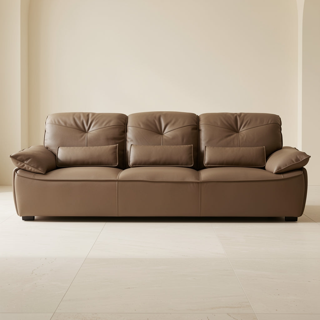 Brown Modern Sofa (DYJLSJ1048) in front