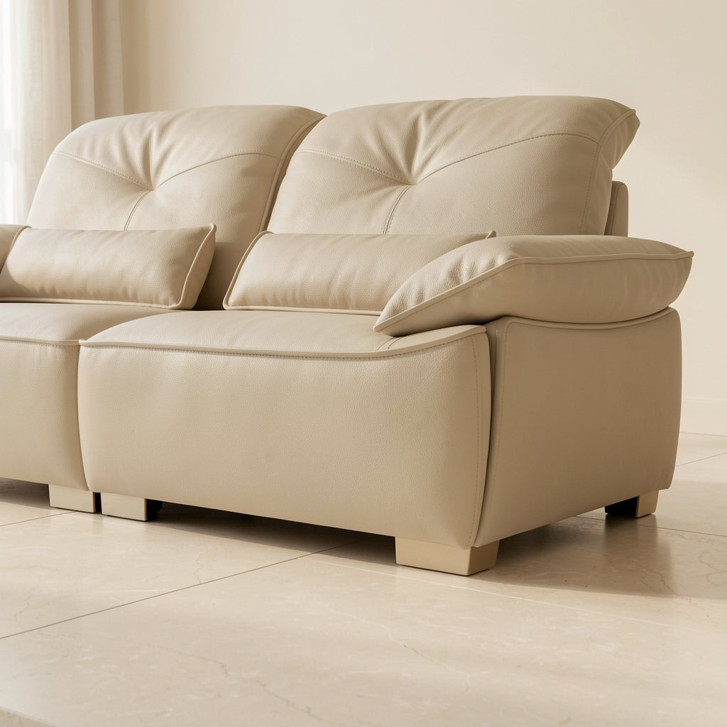 Brown Modern Sofa (DYJLSJ1048) in low