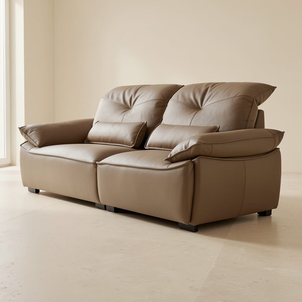 Brown Modern Sofa (DYJLSJ1048) in right