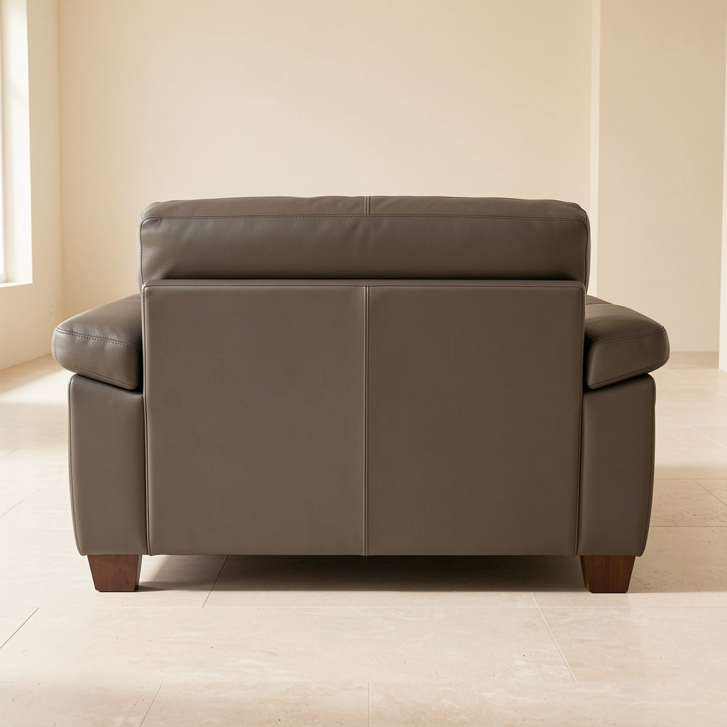Dark Brown Sofa (DYJLSJ1051) in back