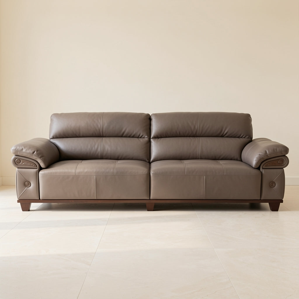 Dark Brown Sofa (DYJLSJ1051) in front