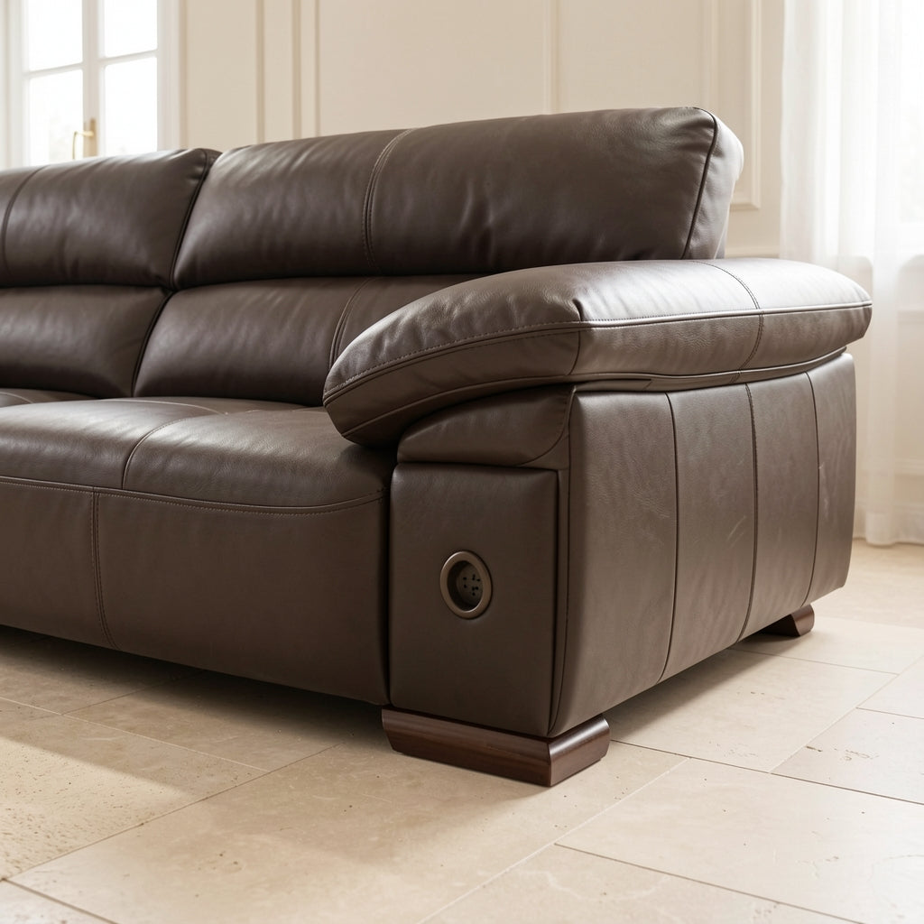Dark Brown Sofa (DYJLSJ1051) in low