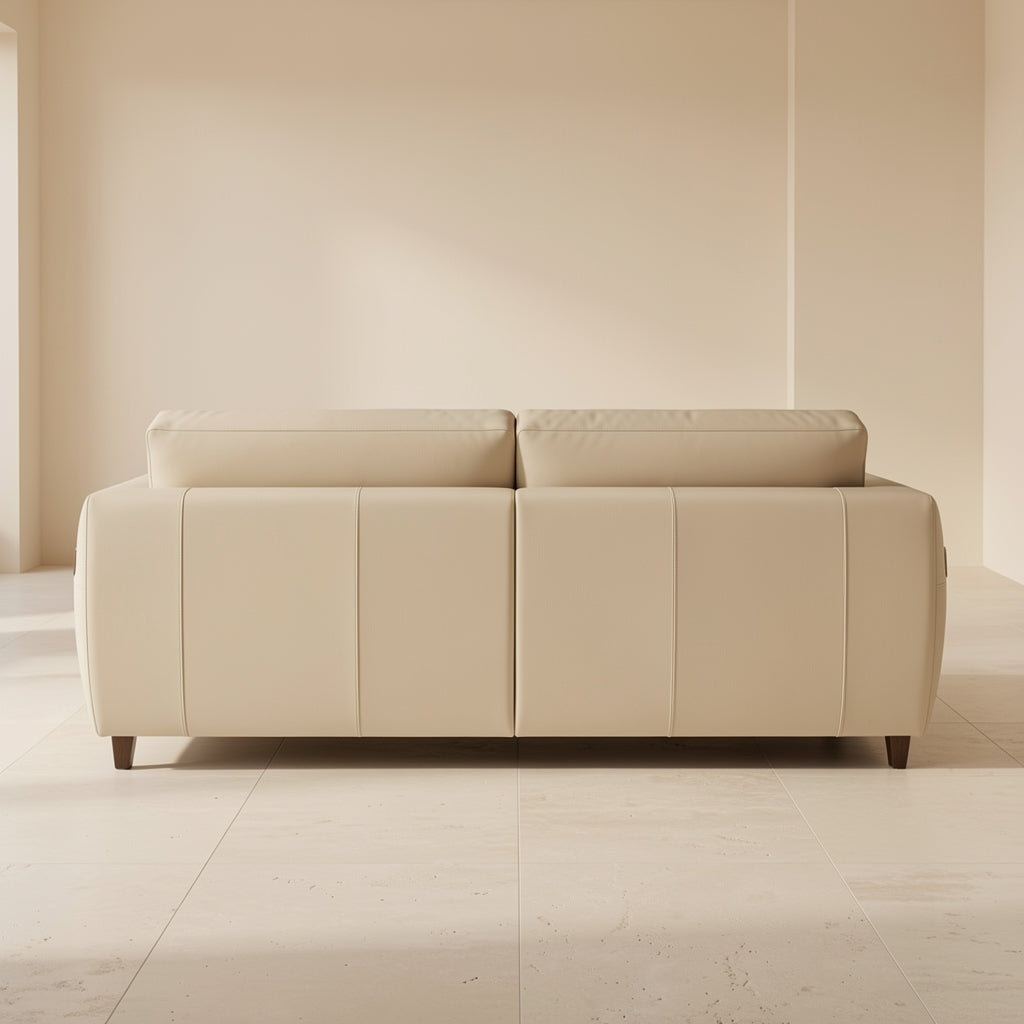 Modern L-shaped Sofa (DYZN212) in back