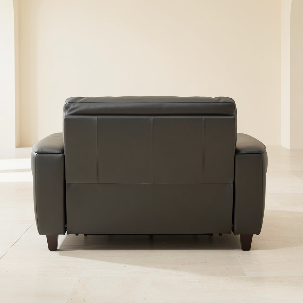Black Power Reclining Sofa (黑金刚拉床) in back